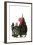 Domestic Chickens Nagasaki Breed-null-Framed Photographic Print