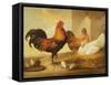 Domestic Cock, Hens and Chicks, 1655-Francis Barlow-Framed Stretched Canvas