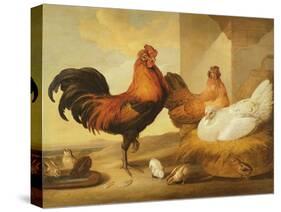 Domestic Cock, Hens and Chicks, 1655-Francis Barlow-Stretched Canvas
