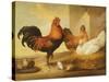 Domestic Cock, Hens and Chicks, 1655-Francis Barlow-Stretched Canvas