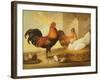 Domestic Cock, Hens and Chicks, 1655-Francis Barlow-Framed Giclee Print