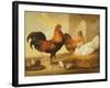 Domestic Cock, Hens and Chicks, 1655-Francis Barlow-Framed Giclee Print