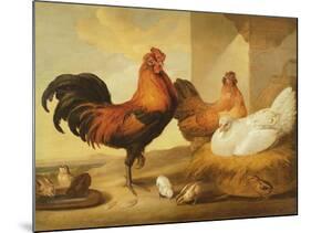 Domestic Cock, Hens and Chicks, 1655-Francis Barlow-Mounted Giclee Print