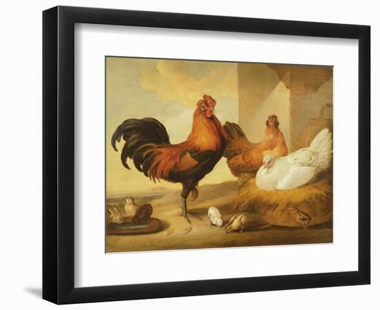 Domestic Cock, Hens and Chicks, 1655-Francis Barlow-Framed Giclee Print