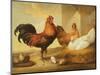 Domestic Cock, Hens and Chicks, 1655-Francis Barlow-Mounted Giclee Print
