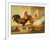 Domestic Cock, Hens and Chicks, 1655-Francis Barlow-Framed Giclee Print