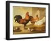 Domestic Cock, Hens and Chicks, 1655-Francis Barlow-Framed Giclee Print