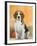 Domestic Dog, Beagle-Petra Wegner-Framed Photographic Print