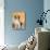 Domestic Dog, Beagle-Petra Wegner-Mounted Photographic Print displayed on a wall