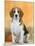 Domestic Dog, Beagle-Petra Wegner-Mounted Photographic Print