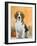 Domestic Dog, Beagle-Petra Wegner-Framed Photographic Print