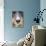 Domestic Dog, Border Collie, adult male, close-up of nose-Chris Brignell-Photographic Print displayed on a wall