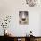 Domestic Dog, Border Collie, adult male, close-up of nose-Chris Brignell-Photographic Print displayed on a wall