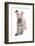 Domestic Dog, Bull Terrier, puppy, eight-weeks old-Chris Brignell-Framed Photographic Print