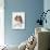 Domestic Dog, Cavalier King Charles Spaniel, puppy, laying-Chris Brignell-Photographic Print displayed on a wall