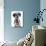 Domestic Dog, Dalmatian, puppy, close-up of head-Chris Brignell-Photographic Print displayed on a wall