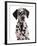 Domestic Dog, Dalmatian, puppy, close-up of head-Chris Brignell-Framed Photographic Print