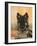 Domestic Dog, German Shepherd Alsatian Juvenile. 5 Months Old, with Rawhide Bone-Petra Wegner-Framed Photographic Print