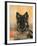 Domestic Dog, German Shepherd Alsatian Juvenile. 5 Months Old, with Rawhide Bone-Petra Wegner-Framed Photographic Print