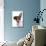 Domestic Dog, Jack Russell Terrier, female puppy, with one ear up-Chris Brignell-Photographic Print displayed on a wall