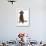 Domestic Dog, Portuguese Water Dog, adult, sitting-Chris Brignell-Framed Photographic Print displayed on a wall