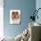 Domestic Dog, Rough Collie, puppy, close-up of head-Chris Brignell-Photographic Print displayed on a wall