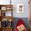 Domestic Dog, Shih Tzu, adult, sitting-Chris Brignell-Photographic Print displayed on a wall