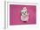 Domestic Dog, Shih Tzu, puppy, sitting on pink carpet-Angela Hampton-Framed Photographic Print