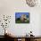 Domestic Dog, Welsh Terrier with Puppy, 7 Weeks-Petra Wegner-Framed Stretched Canvas displayed on a wall