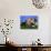 Domestic Dog, Welsh Terrier with Puppy, 7 Weeks-Petra Wegner-Photographic Print displayed on a wall