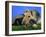 Domestic Dog, Welsh Terrier with Puppy, 7 Weeks-Petra Wegner-Framed Photographic Print