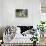Domestic Dog-Wayne Hutchinson-Stretched Canvas displayed on a wall
