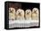 Domestic Dogs, Four Maltese Dogs Sitting in a Row, All with Bows in Their Hair-Adriano Bacchella-Framed Stretched Canvas