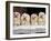 Domestic Dogs, Four Maltese Dogs Sitting in a Row, All with Bows in Their Hair-Adriano Bacchella-Framed Photographic Print