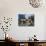 Domestic Dogs, Four Pulik / Hungarian Water Dogs Sitting Together on a Rock-Adriano Bacchella-Photographic Print displayed on a wall