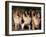 Domestic Dogs, Four Rough Collies Sitting Together-Adriano Bacchella-Framed Photographic Print