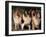 Domestic Dogs, Four Rough Collies Sitting Together-Adriano Bacchella-Framed Photographic Print