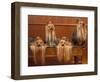 Domestic Dogs, Four Yorkshire Terriers on a Table with Hair Tied up and Very Long Hair-Adriano Bacchella-Framed Premium Photographic Print