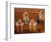 Domestic Dogs, Four Yorkshire Terriers on a Table with Hair Tied up and Very Long Hair-Adriano Bacchella-Framed Premium Photographic Print