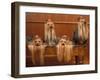 Domestic Dogs, Four Yorkshire Terriers on a Table with Hair Tied up and Very Long Hair-Adriano Bacchella-Framed Photographic Print