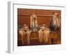 Domestic Dogs, Four Yorkshire Terriers on a Table with Hair Tied up and Very Long Hair-Adriano Bacchella-Framed Photographic Print