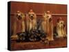 Domestic Dogs, Four Yorkshire Terriers with Four Puppies in a Drawer-Adriano Bacchella-Stretched Canvas