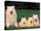 Domestic Dogs, Samoyed Family Panting and Resting on Grass-Adriano Bacchella-Stretched Canvas