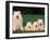 Domestic Dogs, Samoyed Family Panting and Resting on Grass-Adriano Bacchella-Framed Premium Photographic Print