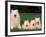 Domestic Dogs, Samoyed Family Panting and Resting on Grass-Adriano Bacchella-Framed Photographic Print