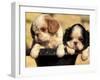 Domestic Dogs, Two King Charles Cavalier Spaniel Puppies in Pot-Adriano Bacchella-Framed Photographic Print