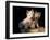 Domestic Dogs, Two West Highland Terrier / Westie Puppies Sitting Together-Adriano Bacchella-Framed Photographic Print