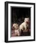 Domestic Dogs, Two West Highland Terriers / Westies, One Sitting on a Chair-Adriano Bacchella-Framed Premium Photographic Print