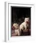 Domestic Dogs, Two West Highland Terriers / Westies, One Sitting on a Chair-Adriano Bacchella-Framed Premium Photographic Print
