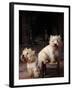 Domestic Dogs, Two West Highland Terriers / Westies, One Sitting on a Chair-Adriano Bacchella-Framed Photographic Print